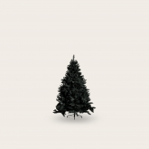 Imagen representativa de la categoría Black November Sapins de Noël