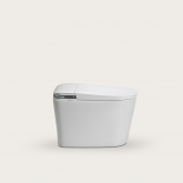 Imagen representativa de la categor&iacute;a WC intelligents