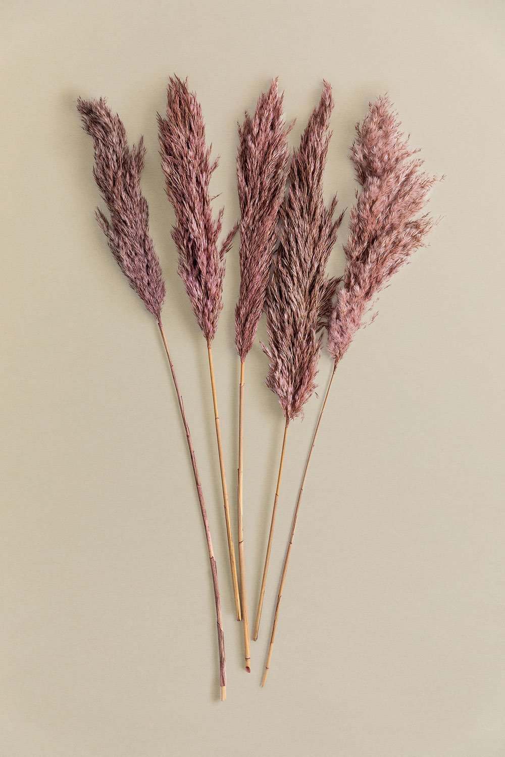 Lot de 5 branches sèches décoratives de Dagrai          , image de la galerie 4