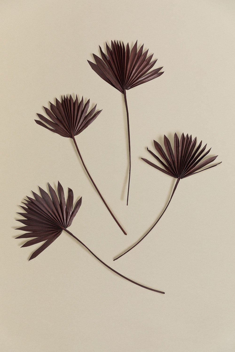 Lot de 4 branches séchées décoratives Urpek       , image de la galerie 3