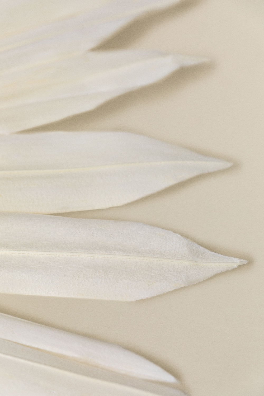 Lot de 4 branches séchées décoratives Urpek       , image de la galerie 4