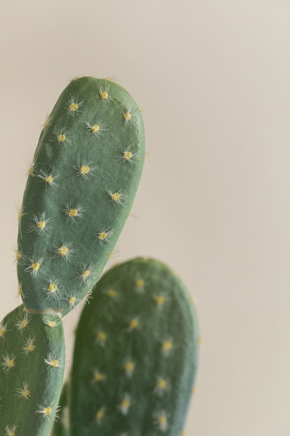Cactus Opuntia Artificiel 72 cm, image de la galerie 4