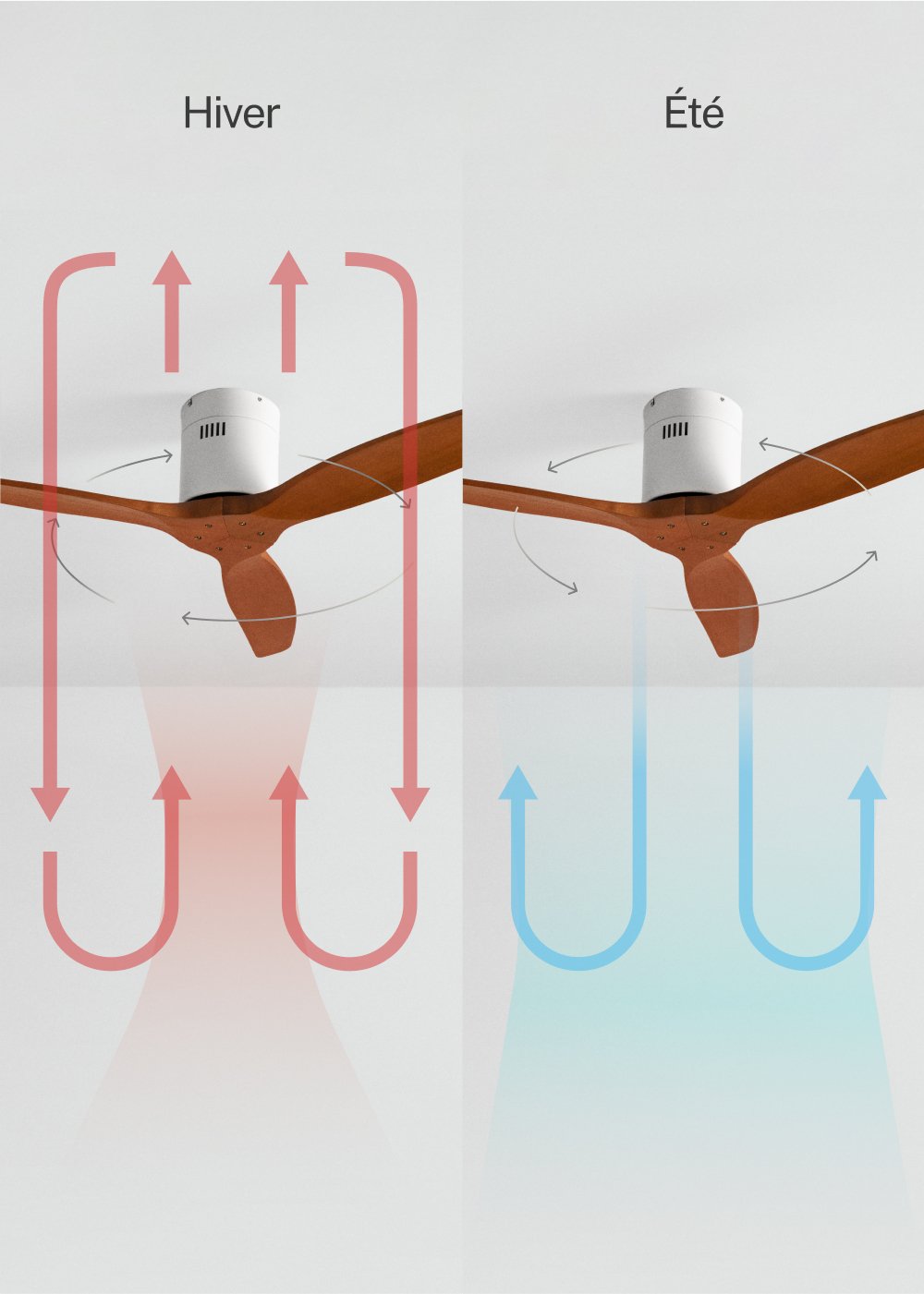 CREATE - WIND CALM - Ventilateur de plafond 40W silencieux Ø132 cm 15W 100% bois, image de la galerie 3