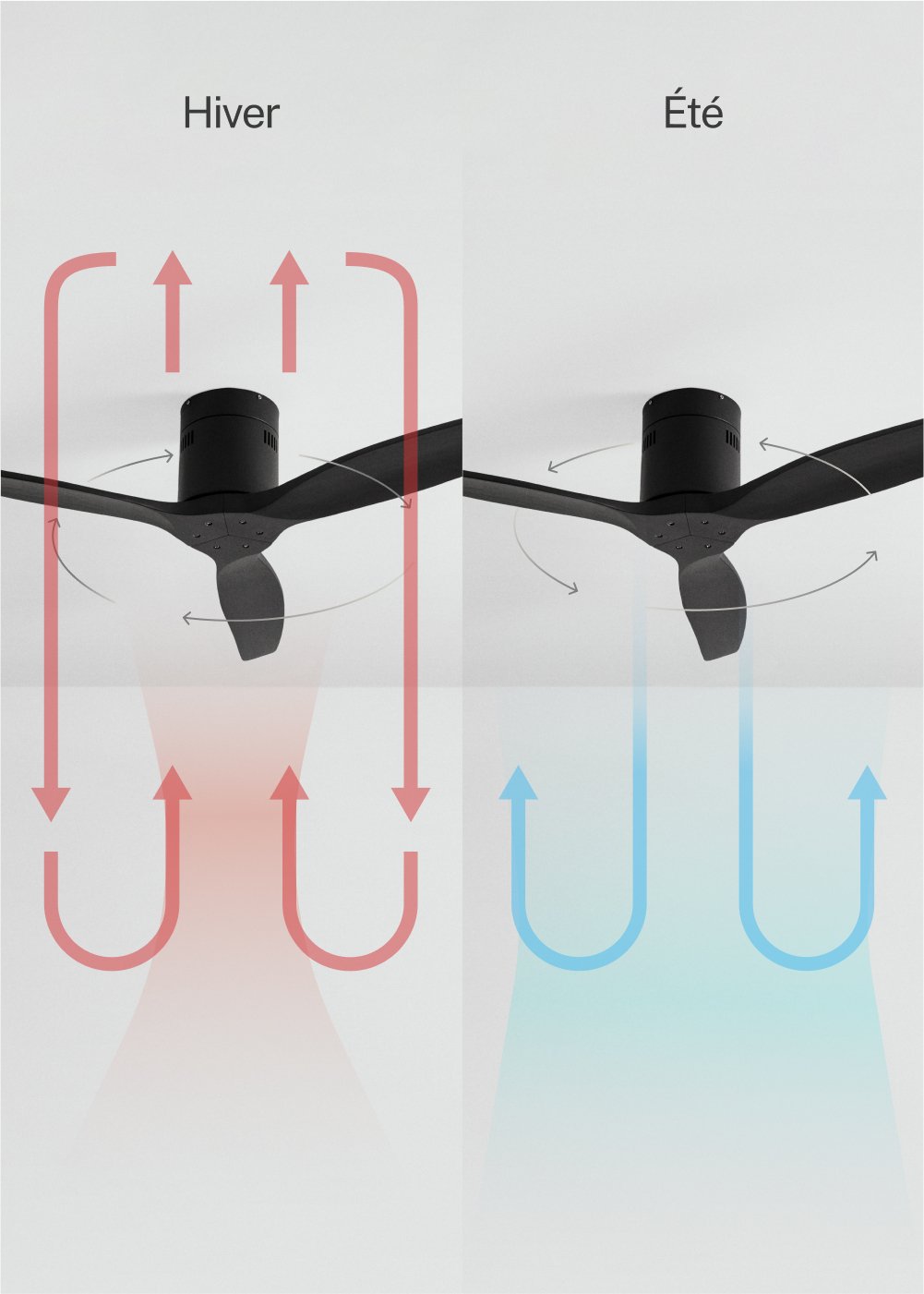 CREATE - WIND CALM - Ventilateur de plafond 40W silencieux Ø132 cm 15W 100% bois, image de la galerie 3