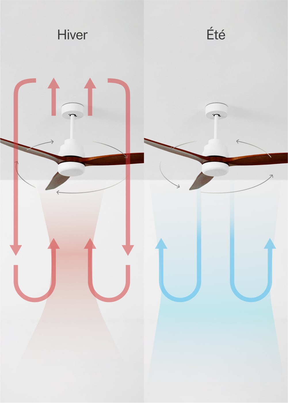 CREATE - WIND STYLANCE - Ventilateur de plafond 40W silencieux Ø132 cm 100% bois, image de la galerie 3