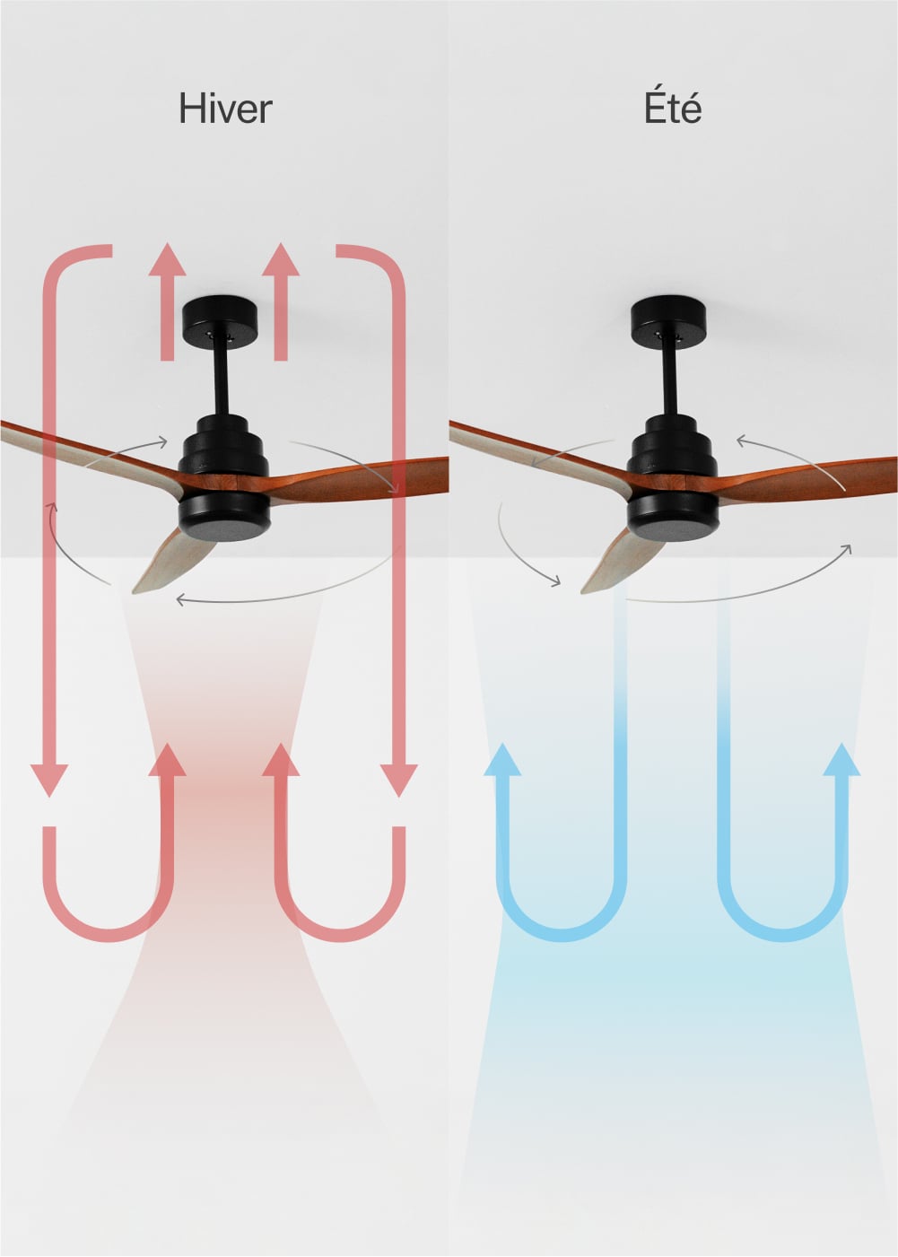 CREATE - WIND STYLANCE - Ventilateur de plafond 40W silencieux Ø132 cm 100% bois, image de la galerie 3