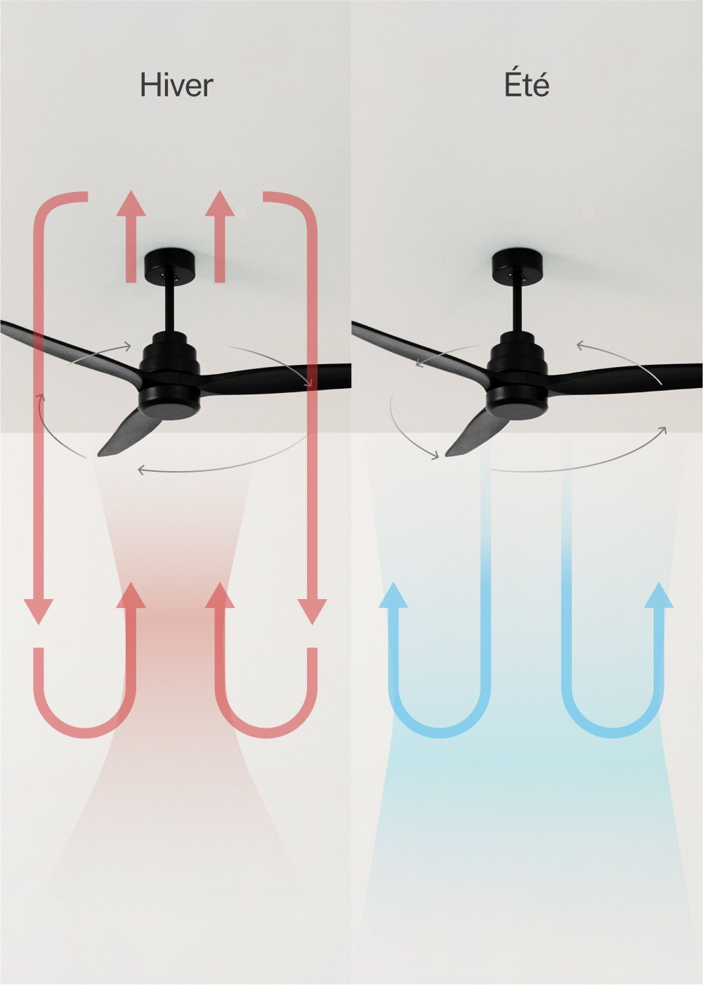 CREATE - WIND STYLANCE - Ventilateur de plafond 40W silencieux Ø132 cm 100% bois, image de la galerie 3