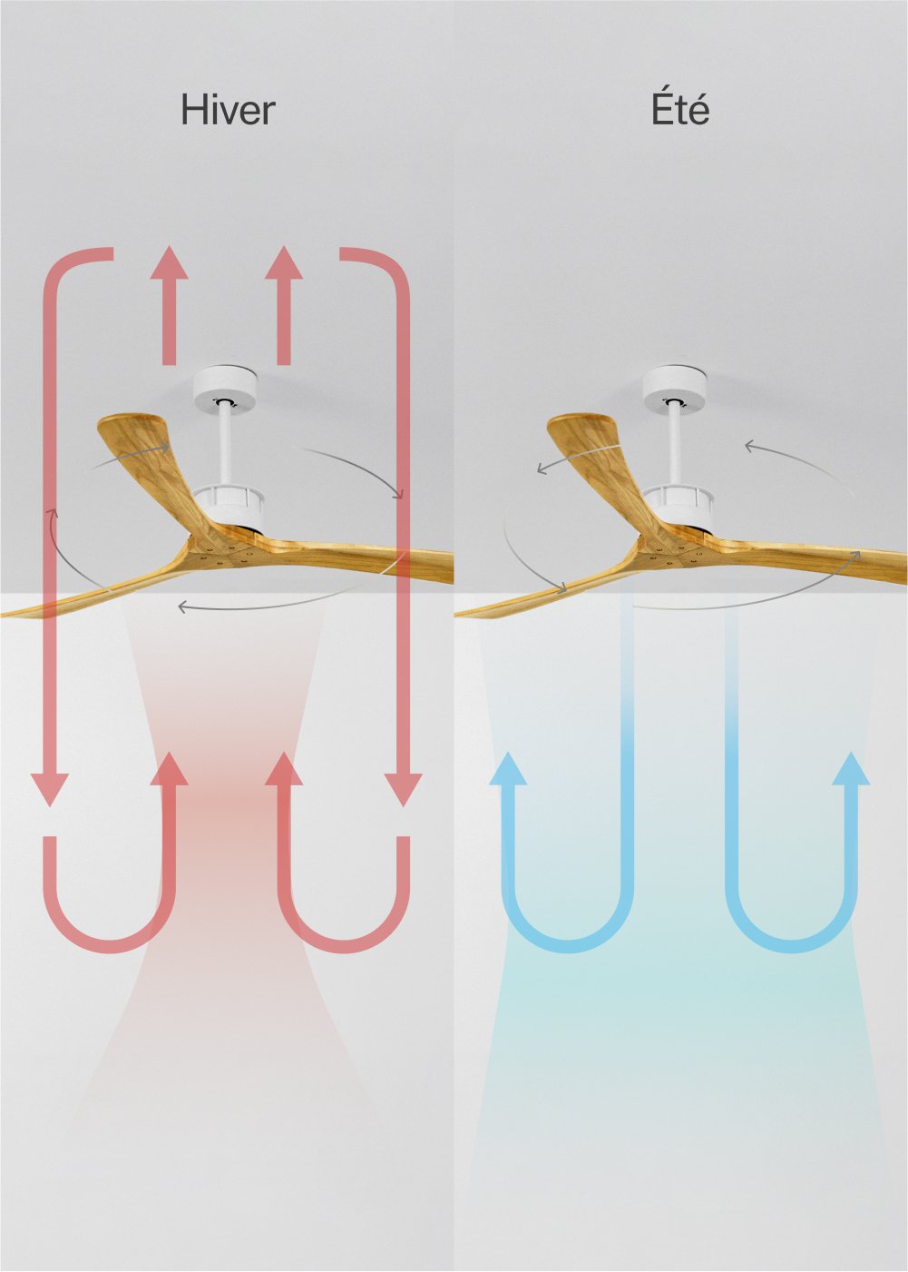 CREATE - WIND LARGE - Ventilateur de plafond 40W silencieux XL Ø152 cm 100% bois, image de la galerie 3