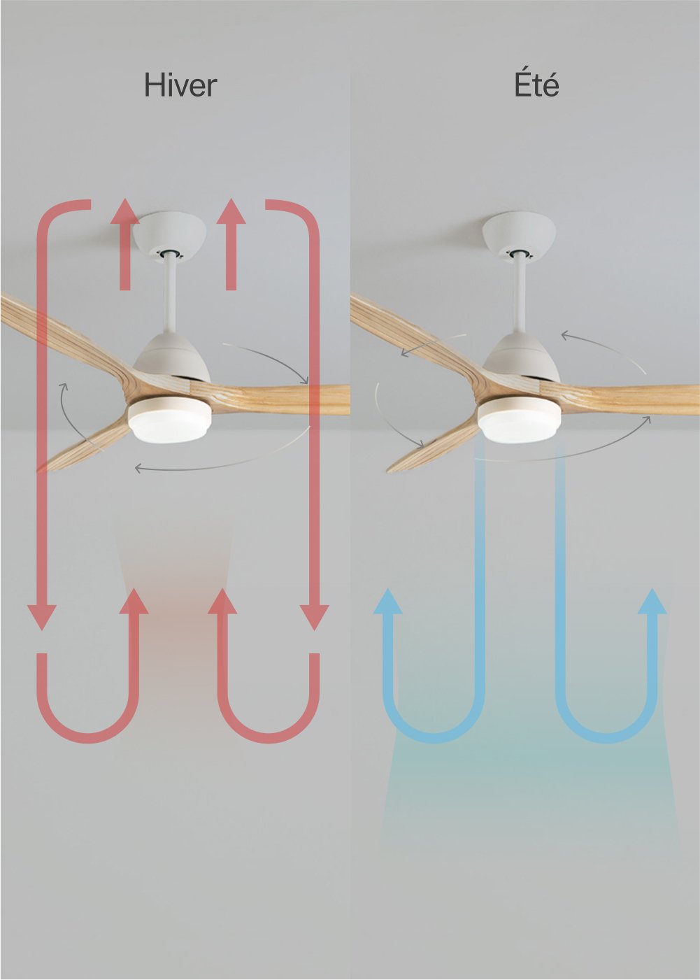 CREATE - WIND CUP - Ventilateur de plafond 40W silencieux Ø132 cm 100% bois, image de la galerie 3