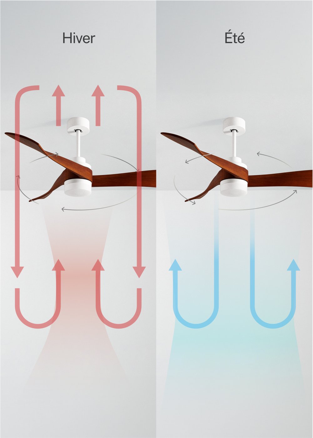 CREATE - WIND CURVE - Ventilateur de plafond 40W silencieux Ø132 cm 100% bois, image de la galerie 3