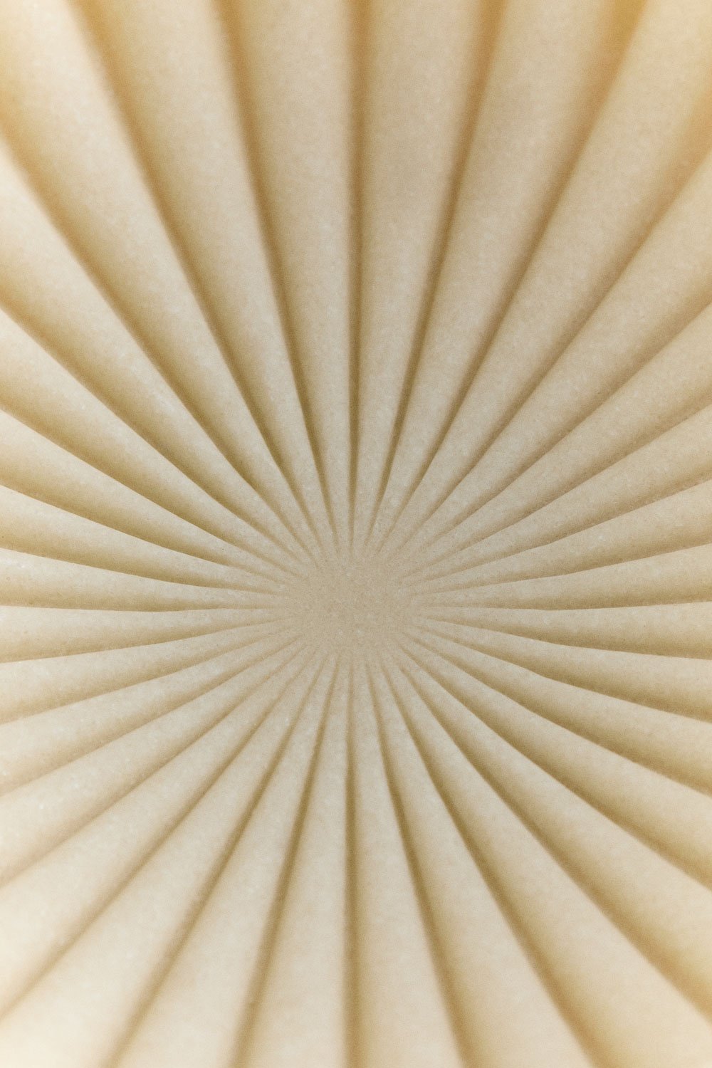 Bol décoratif en résine Ø20 cm Irente, image de la galerie 5