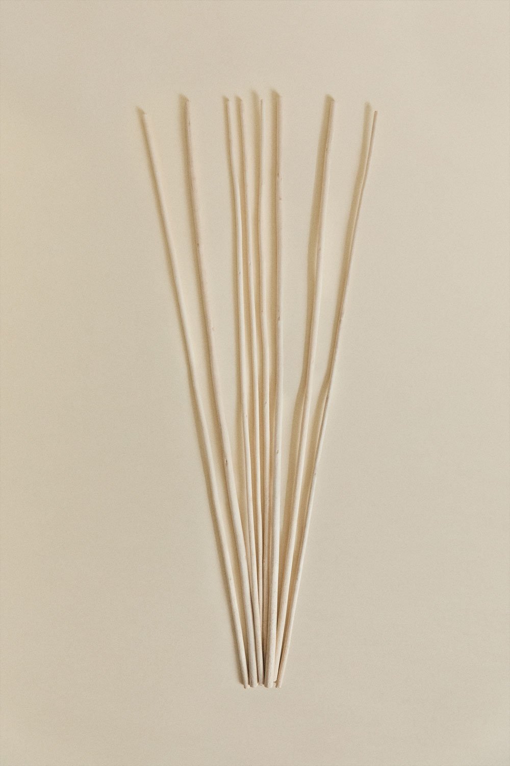 Pack de 8 branches sèches décoratives Olitorius, image de la galerie 1