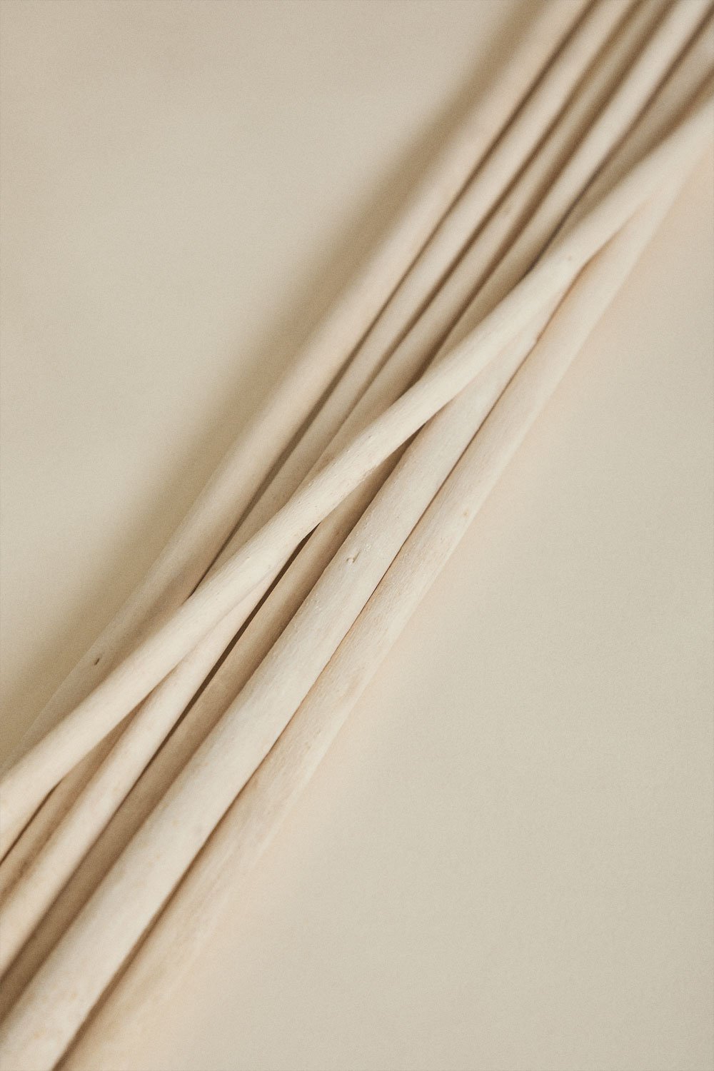 Pack de 8 branches sèches décoratives Olitorius, image de la galerie 2