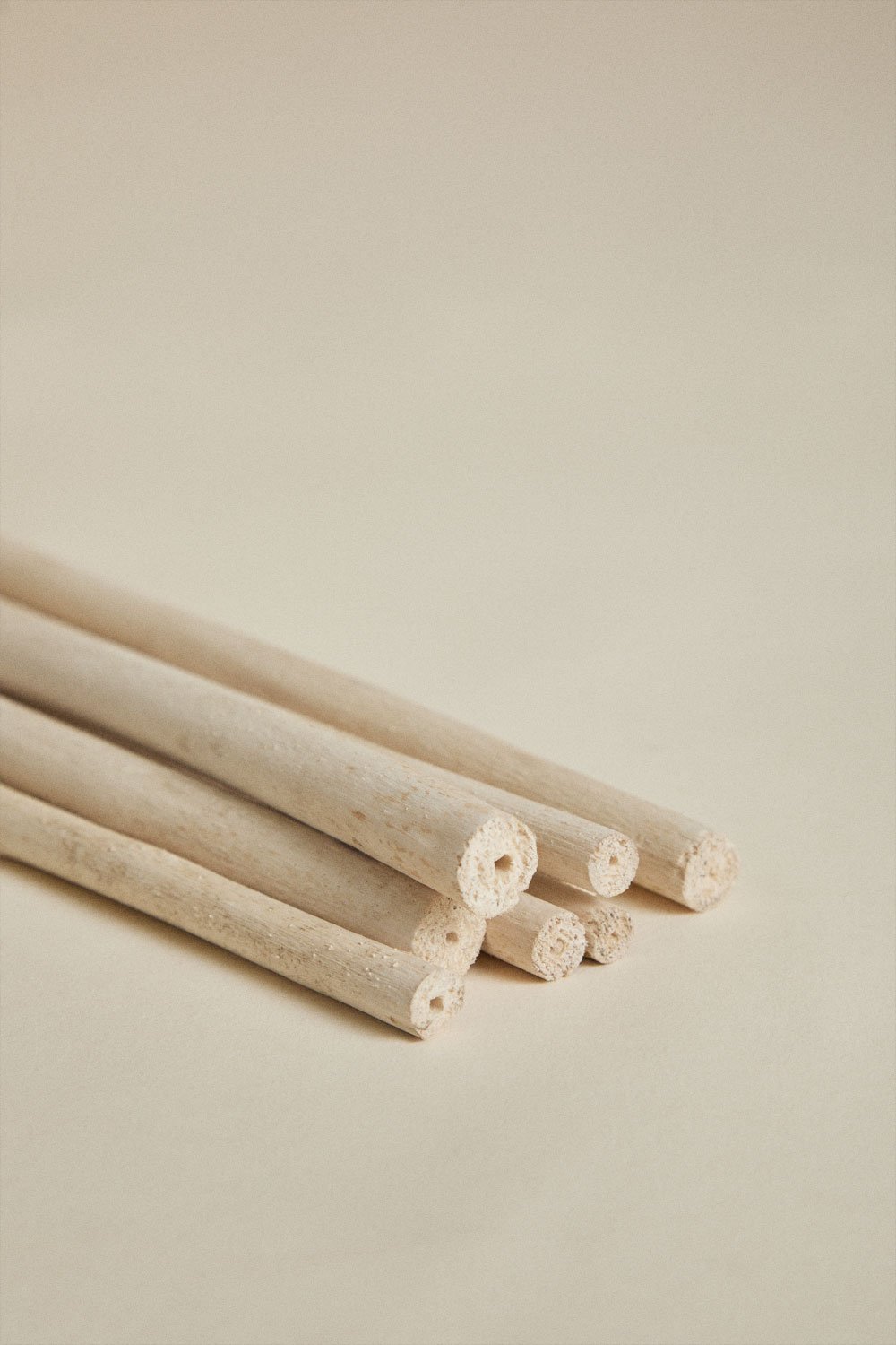 Pack de 8 branches sèches décoratives Olitorius, image de la galerie 3