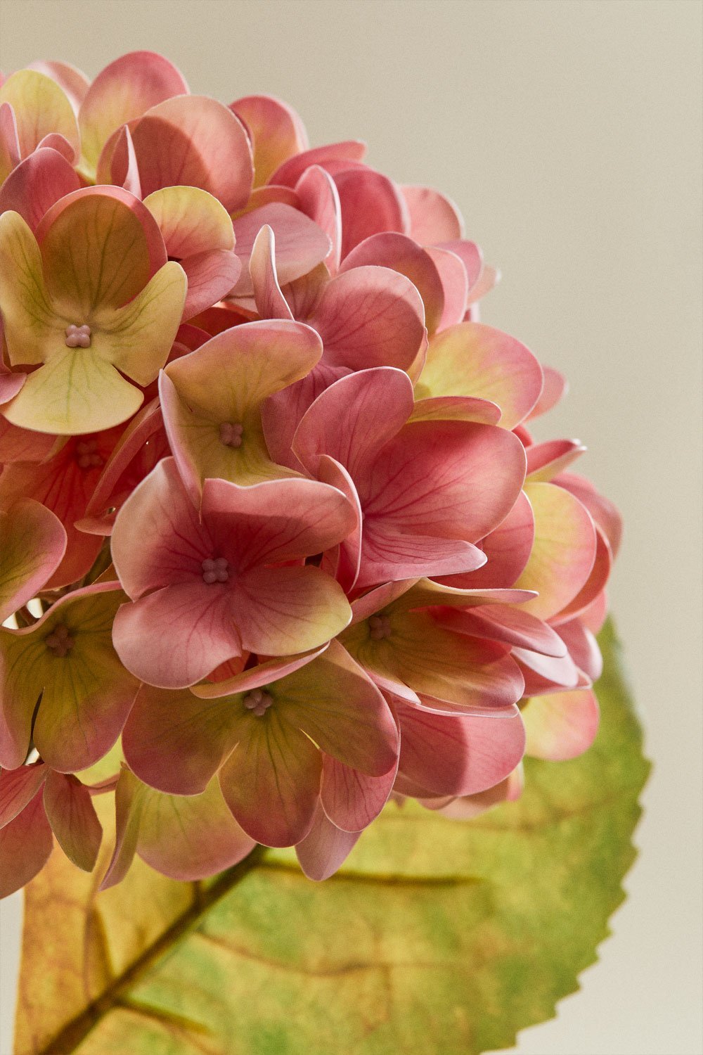 Bouquet décoratif Petal, image de la galerie 6