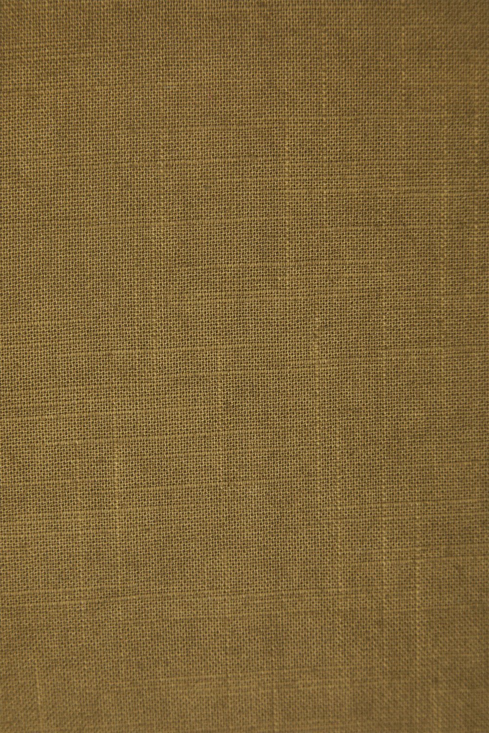 Coussin rectangulaire 35x50 cm en coton Elezar, image de la galerie 7