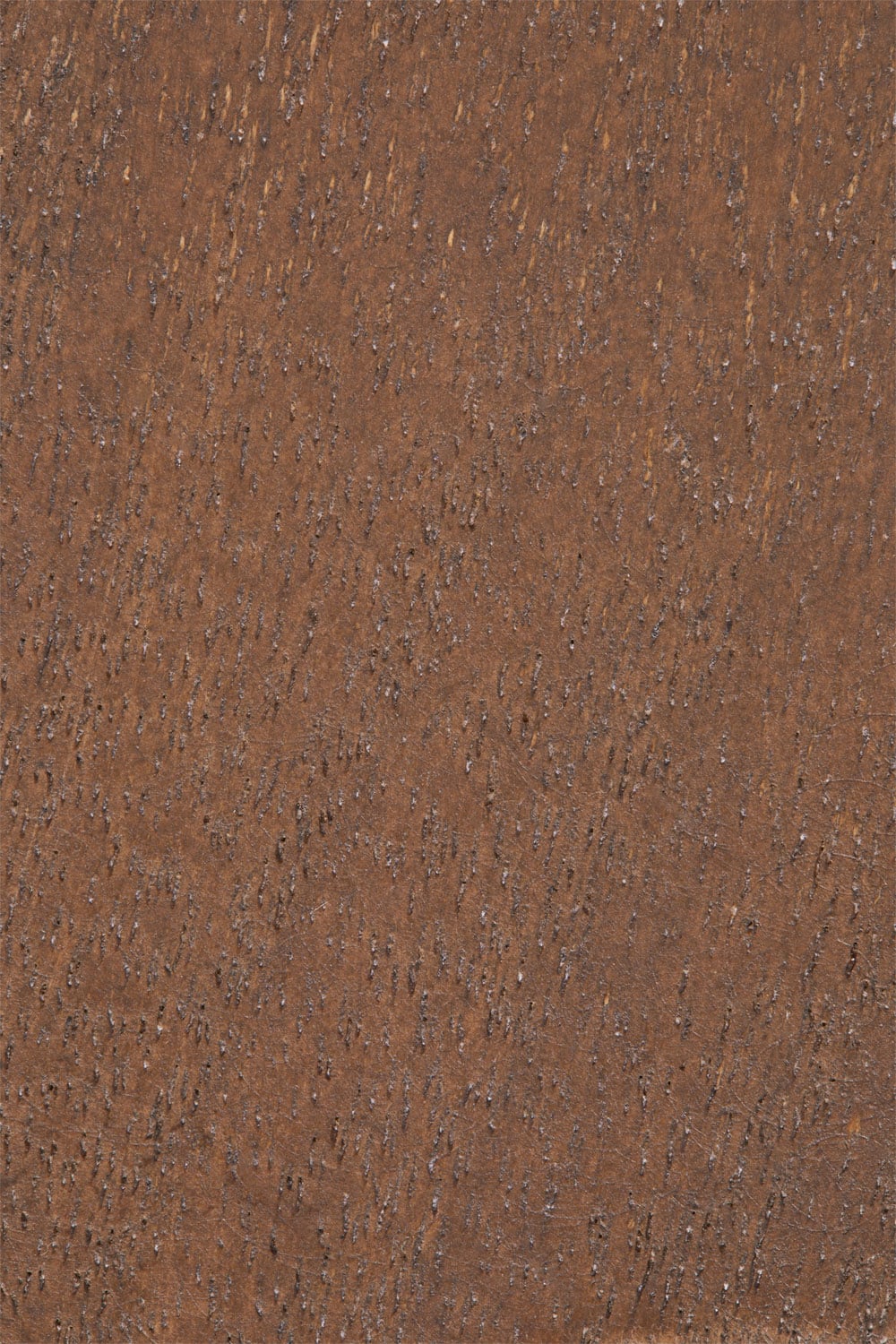 Set de 4 patères murales en bois Brana, image de la galerie 5