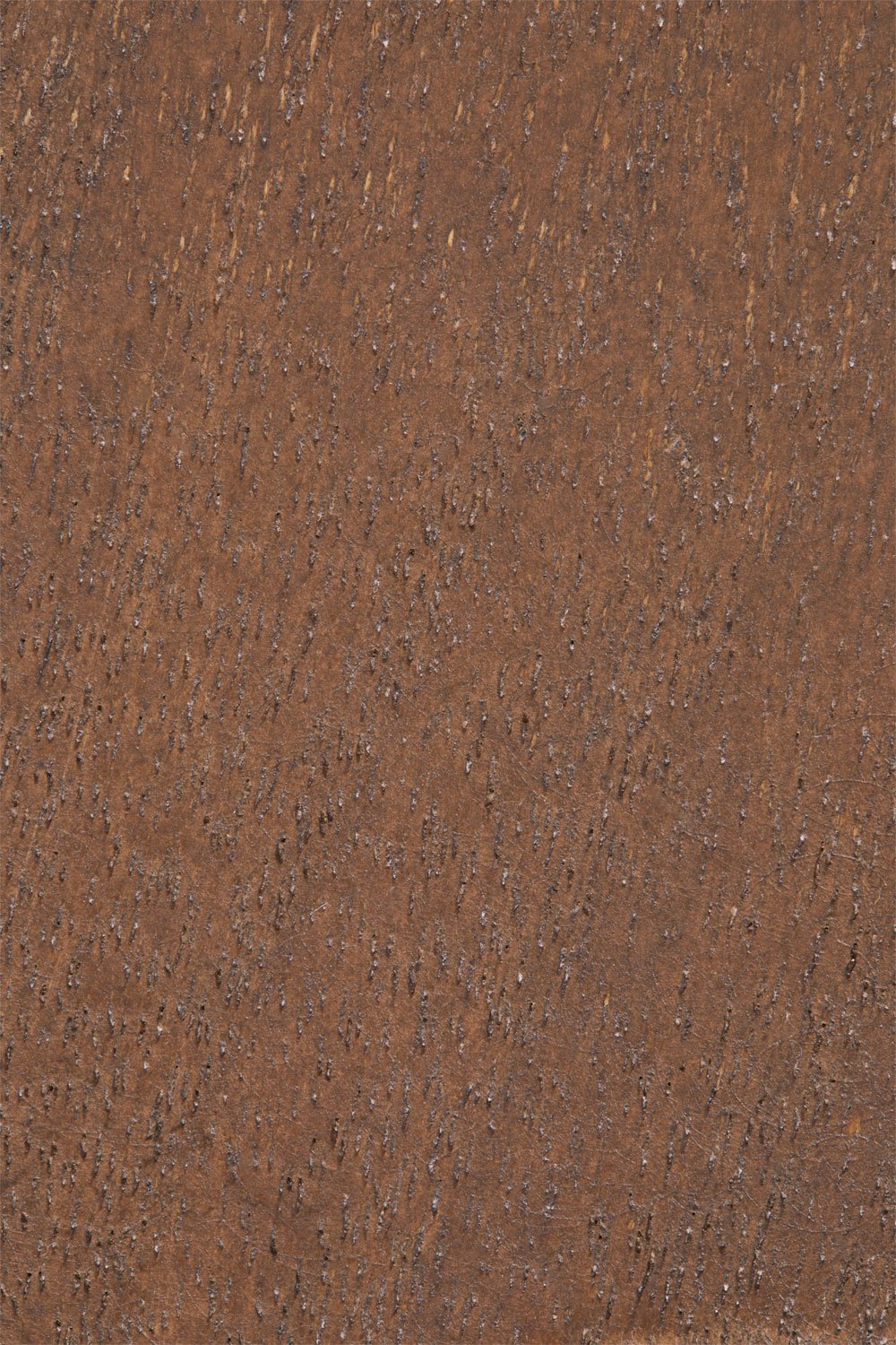 Set de 4 patères murales en bois Zanter, image de la galerie 5