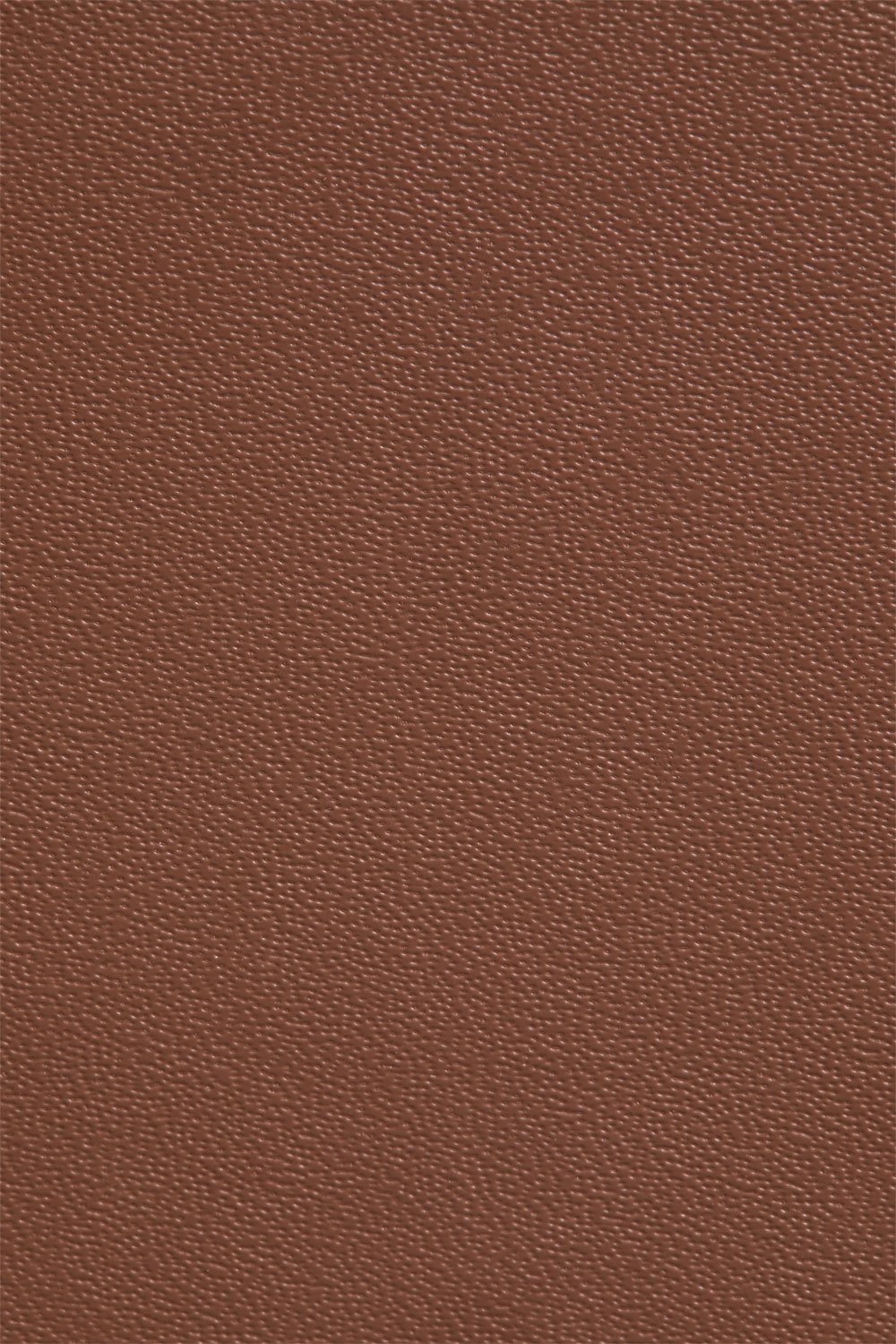 Chaise de réalisateur pliante en cuir et acier inoxydable Dravena, image de la galerie 8