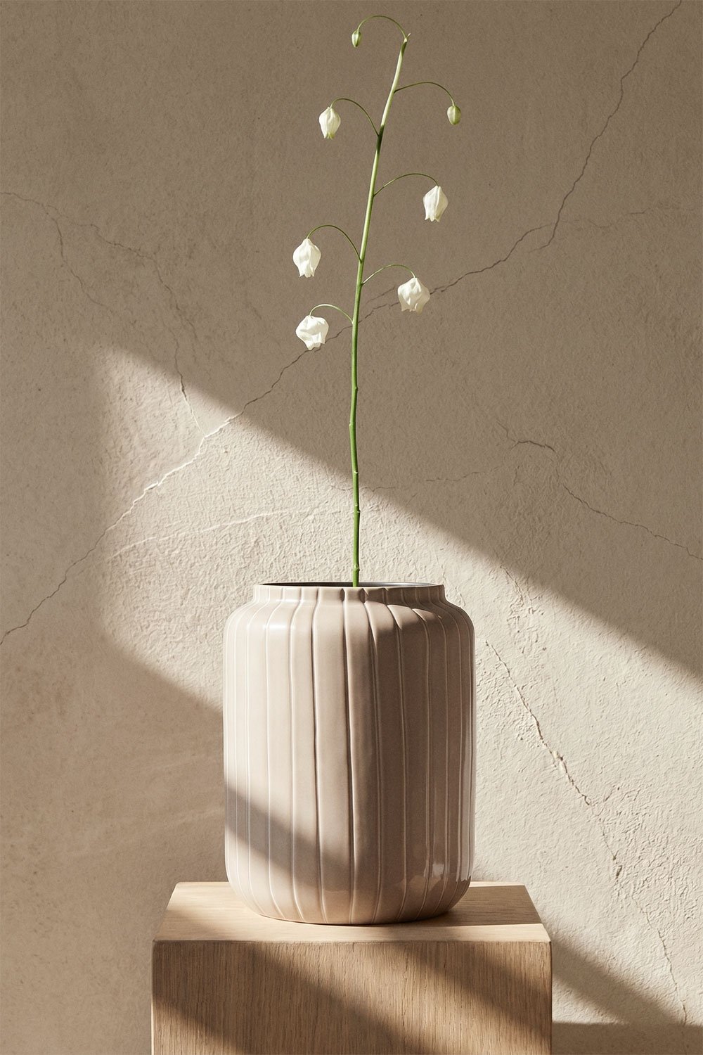 Vase en fer Bieberlis, image de la galerie 1