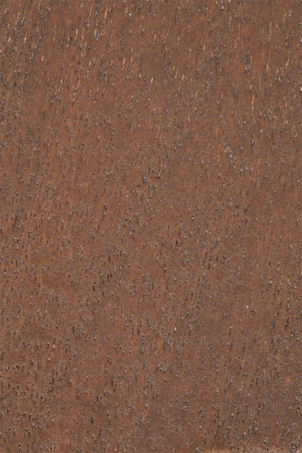 Set de 4 patères murales en bois Daxro, image de la galerie 5