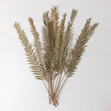 Pack Of 10 Sarat Decorative Dry Branches Bamboo Green - Sklum