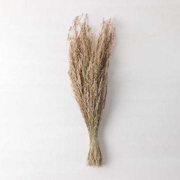 Ainala Decorative Branch Natural Colors - Sklum