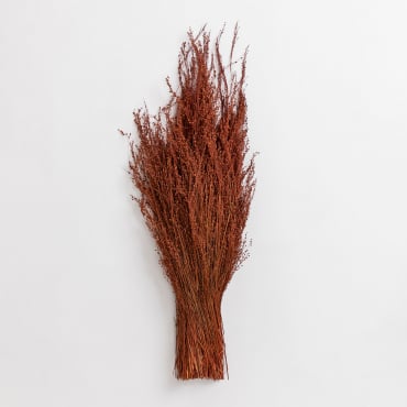 Decorative Bouquet Dimka Red Clay - Sklum