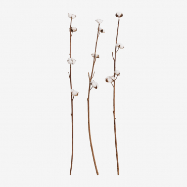 Pack Of 3 Decorative Dry Branches Vedran White - Sklum