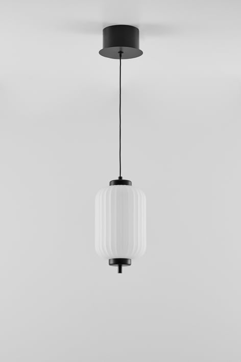 LED hanging ceiling lamp in iron with 1 glass globe Necsar - Black