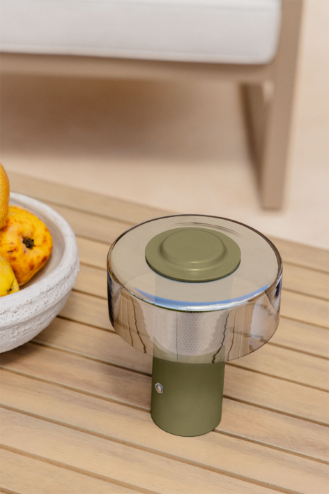 Elfriede Wireless LED Outdoor Table Lamp in Glass and Steel