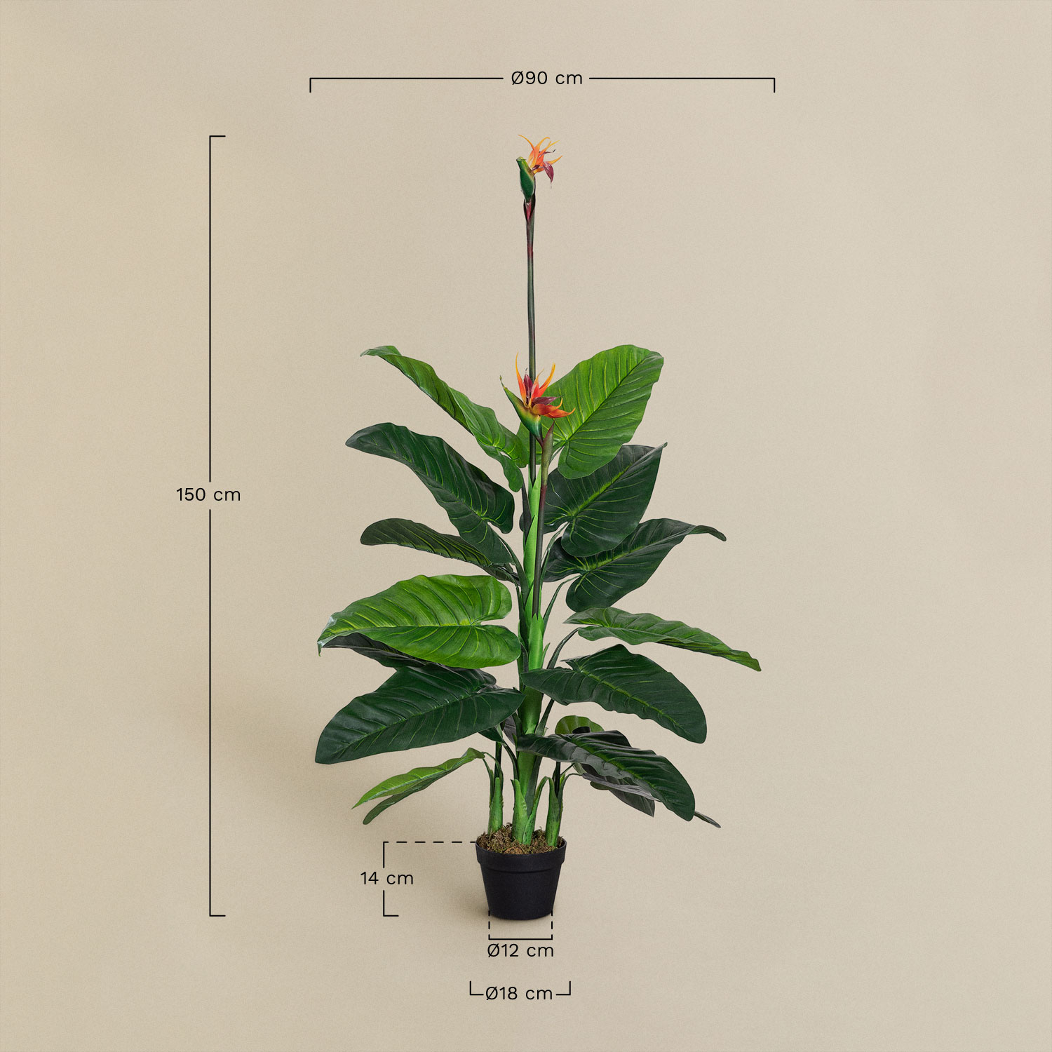 Decorative Artificial Plant Bird of Paradise 150 cm, medidas