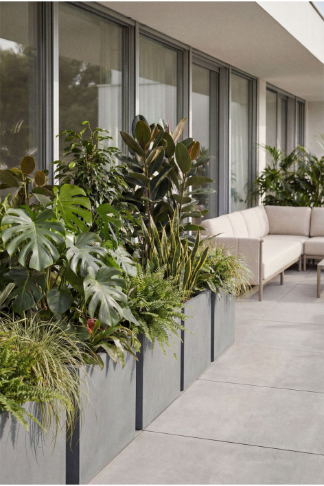 Rectangular outdoor cement planter Neyrua