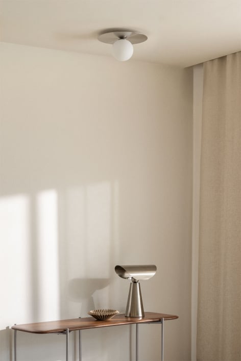 Anine iron and glass ceiling light