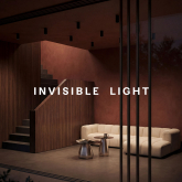 Imagen representativa de la categor&iacute;a Invisible Light