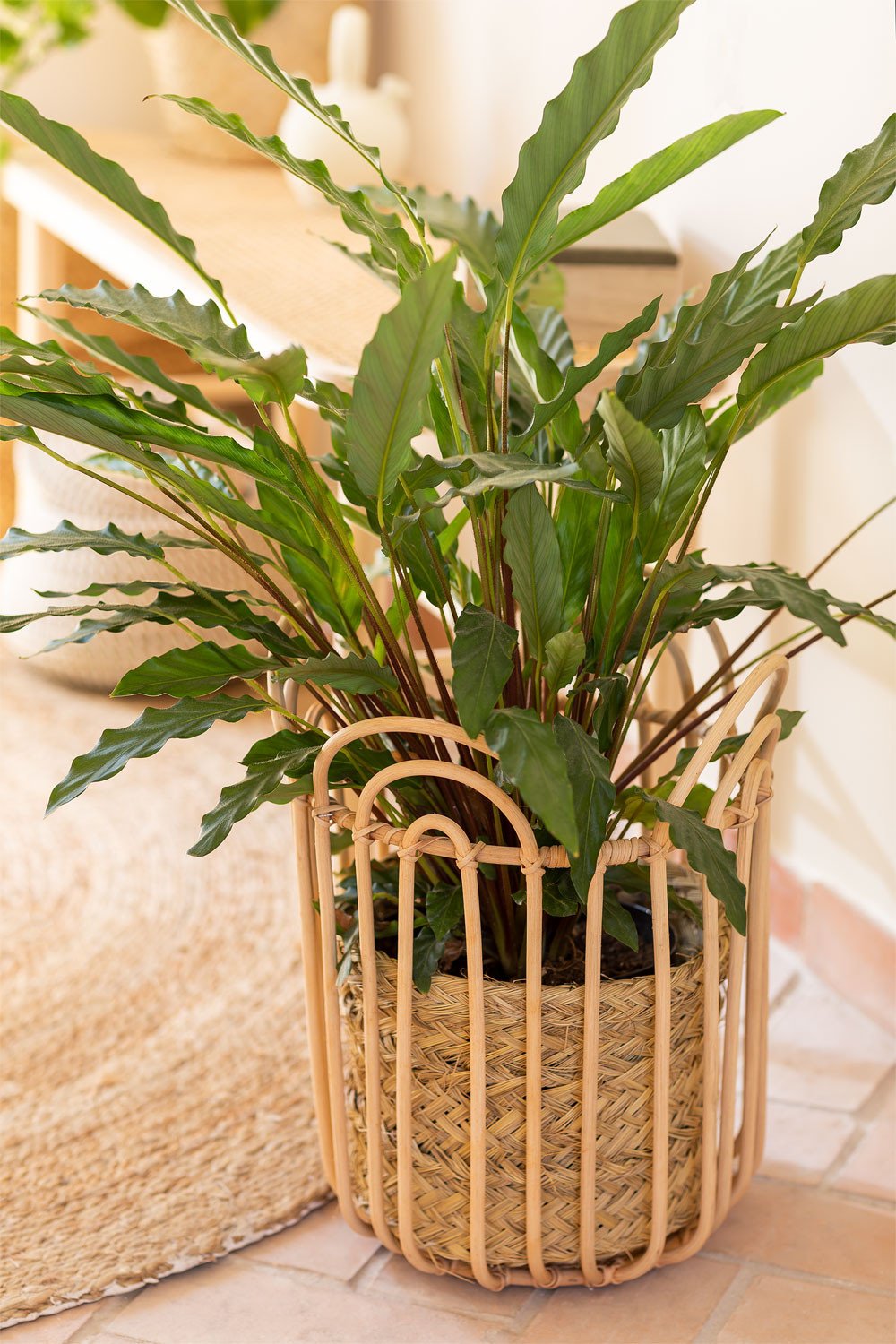 Rattan Basket Xegoc, gallery image 1