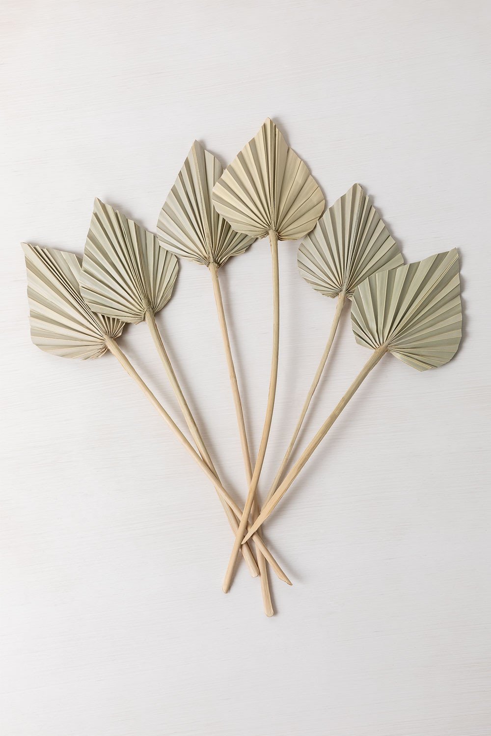 Pack of 6 Decorative Dried Branches Beliefe, gallery image 2