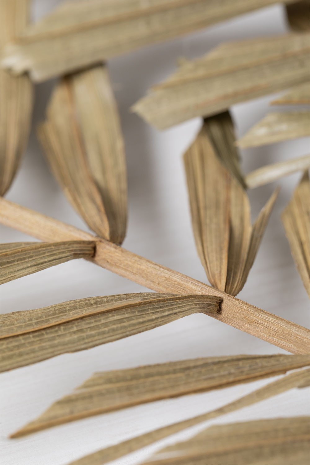 Pack of 10 Sarat Decorative Dry Branches, gallery image 4