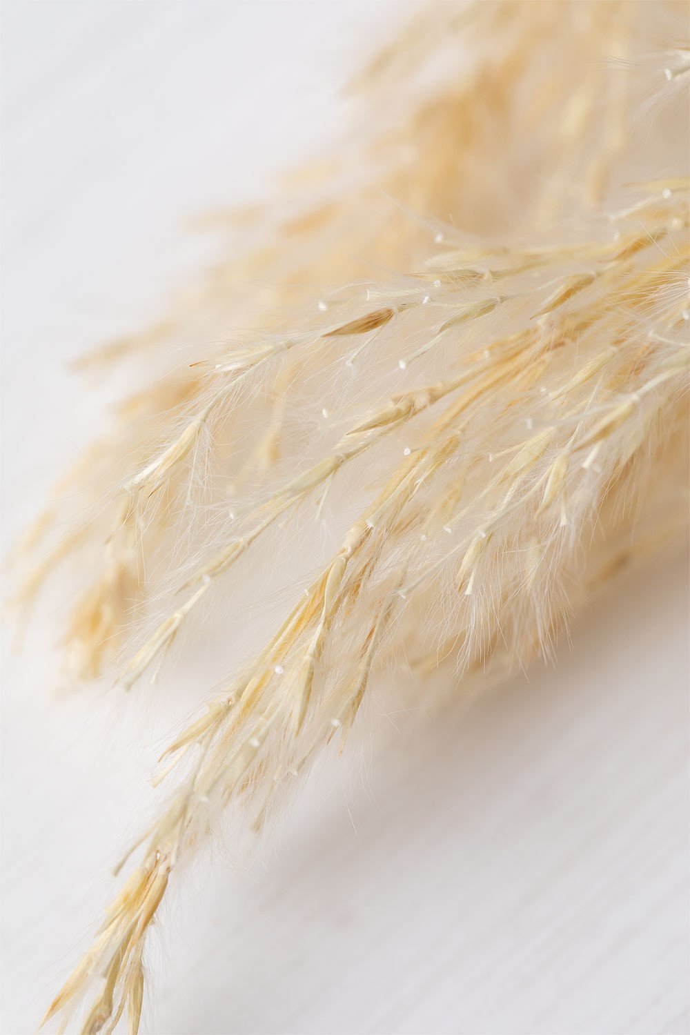 Pack of 6 decorative dried branches Megina, gallery image 4