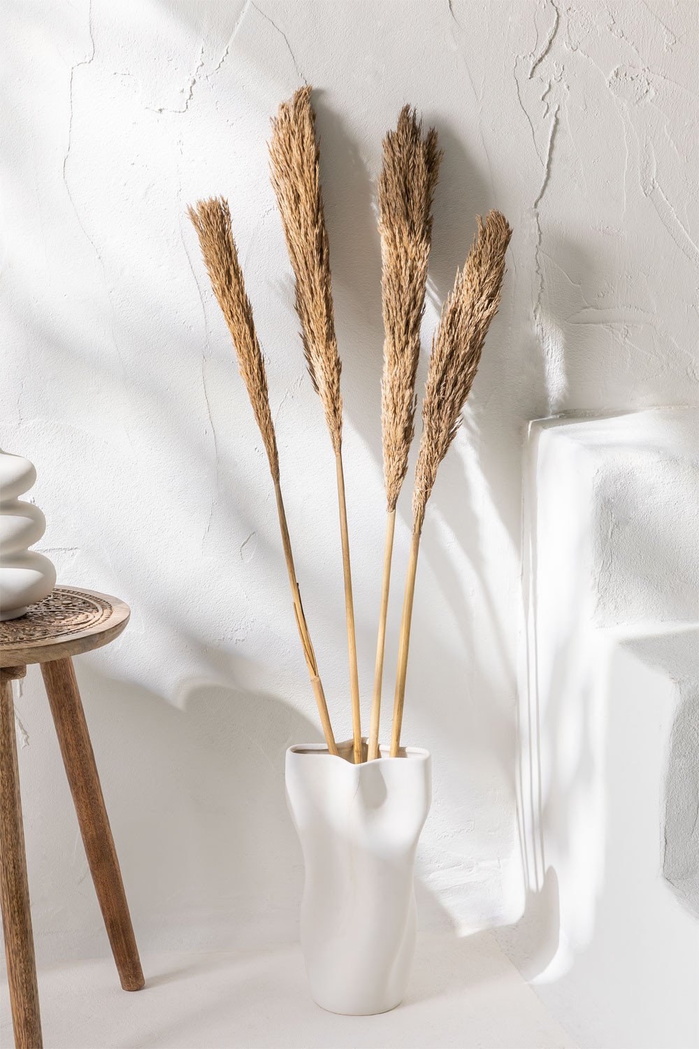 Pack of 4 Decorative Dried Stems Pampy, gallery image 1
