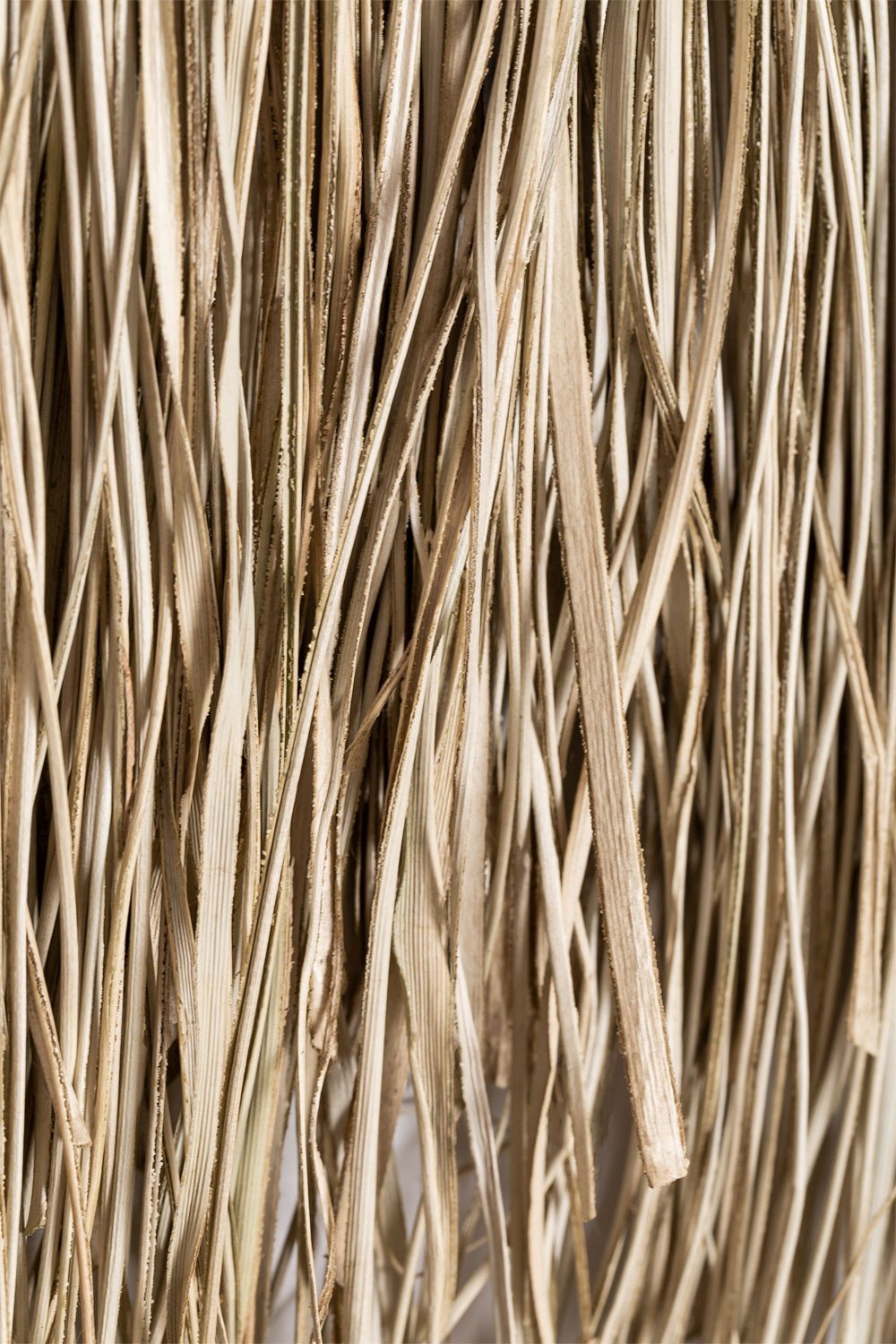 Wall Decoration Cesugo, gallery image 6