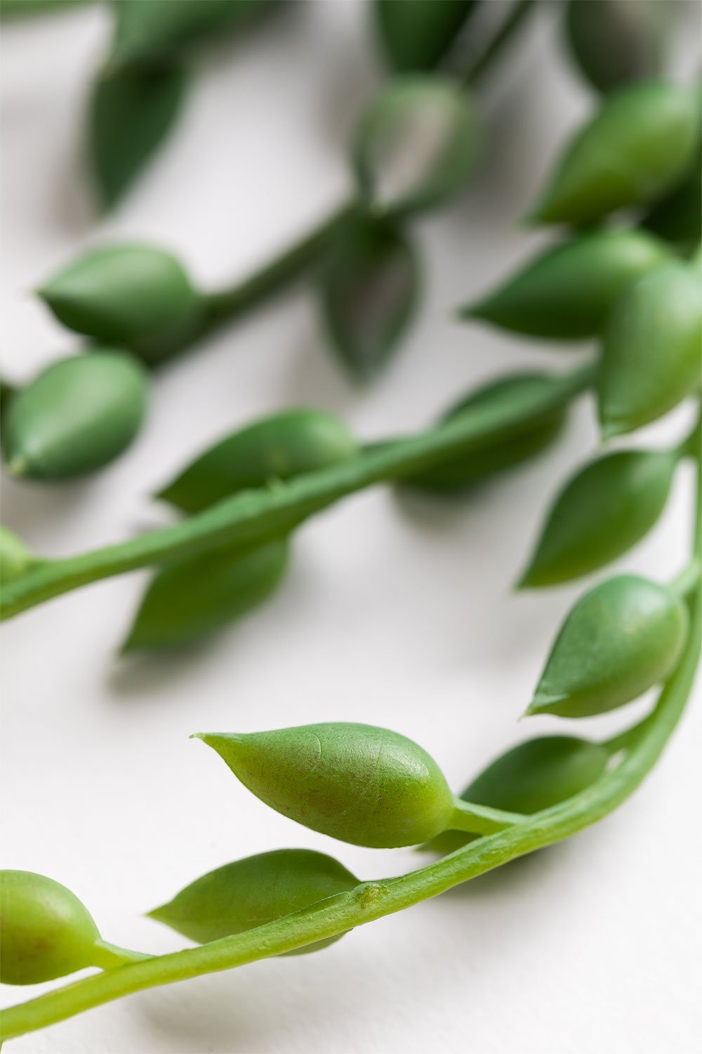 Decorative Artificial Hanging Plant Dischidia , gallery image 4