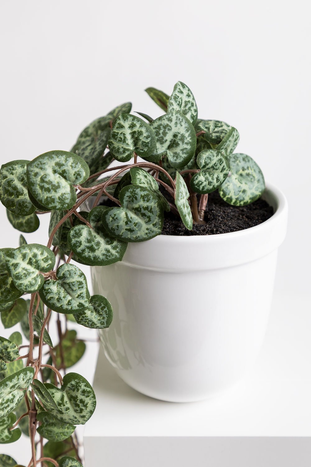 Decorative artificial hanging plant Heart necklace, gallery image 3