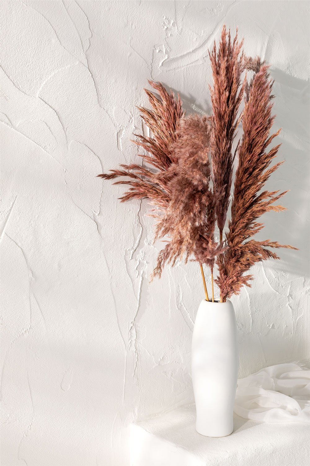 Pack of 5 Decorative Dried Branches Dagrai, gallery image 1