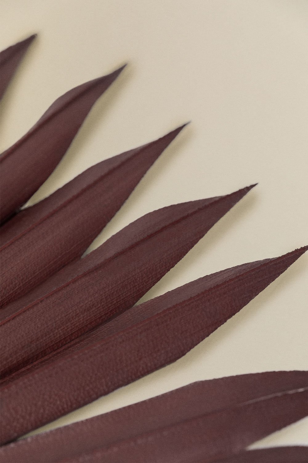 Pack of 4 Urpek decorative dried branches, gallery image 4