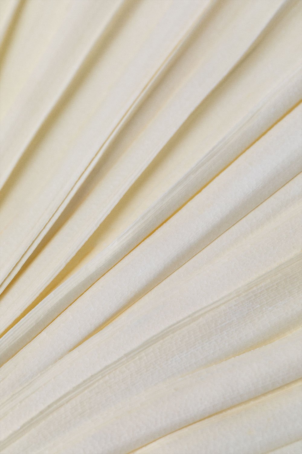 Pack of 4 Urpek decorative dried branches, gallery image 5