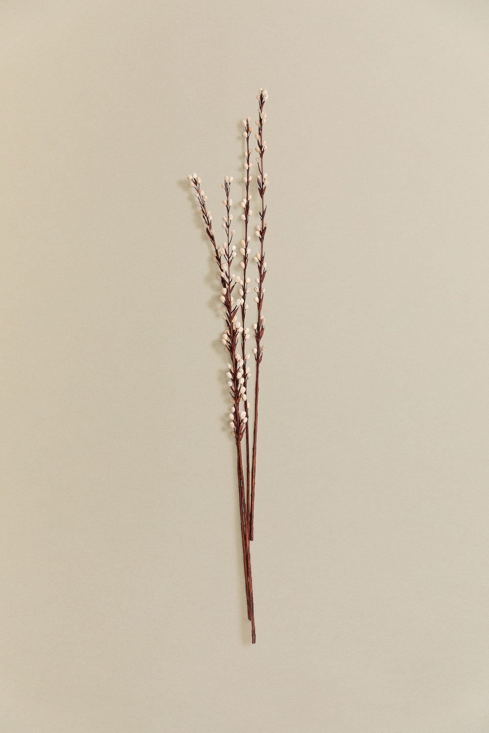 Moti pack of 4 dried floral twigs, gallery image 1