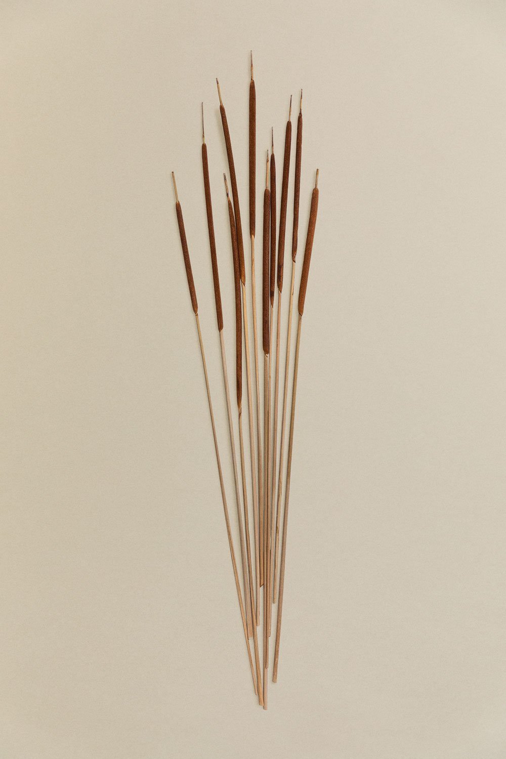 Stoilan pack 10 decorative dried stems, gallery image 1