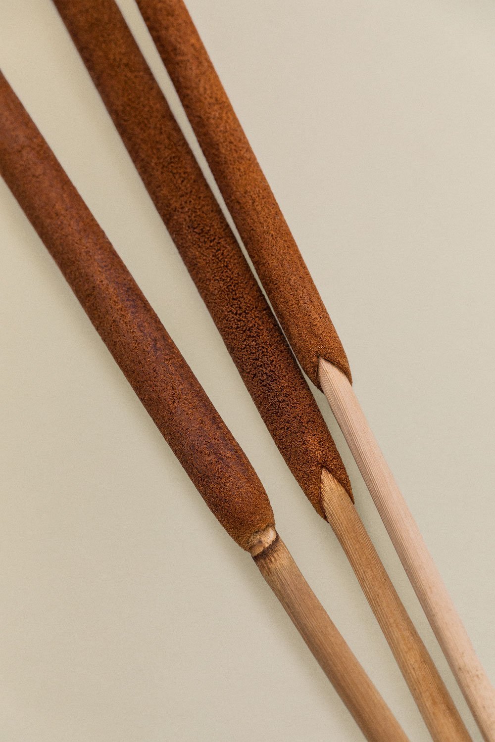 Stoilan pack 10 decorative dried stems, gallery image 4