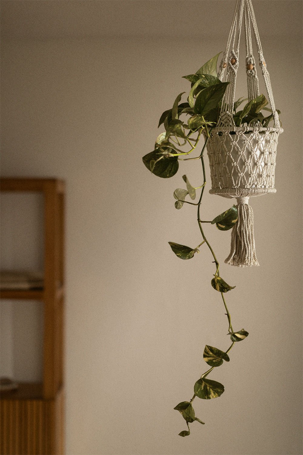 Astiages macrame hanging planter, gallery image 1